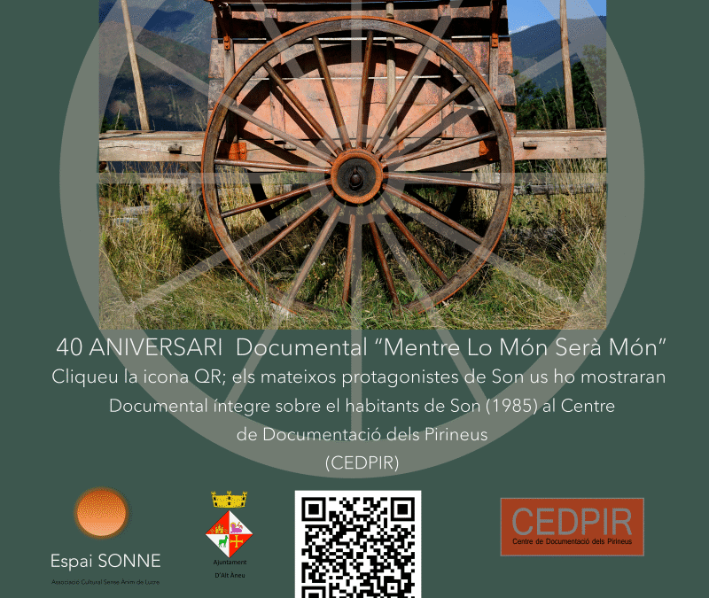 qr-carro